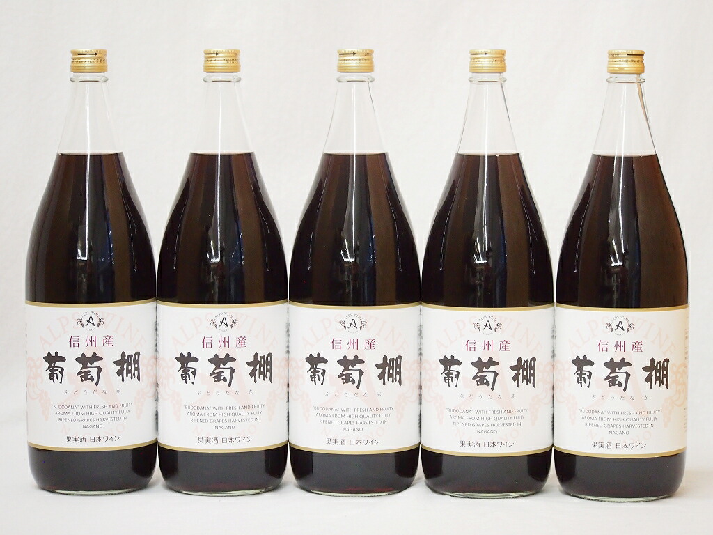 日本ワインセット 信州産葡萄棚 赤ワインセット 中口(長野県)1800ml5
