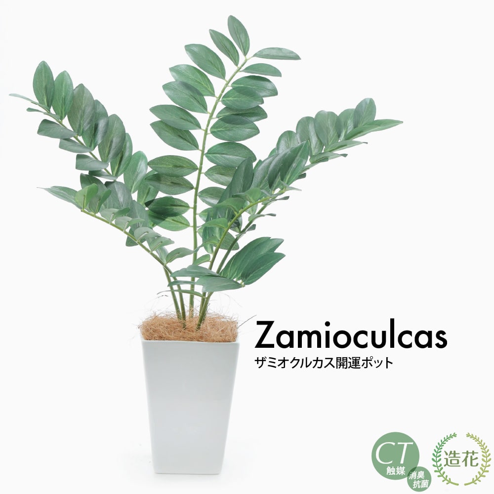 フェイクグリーン ザミオクルカス開運ポット 45cm 鉢植 陶器鉢 SC/CT触媒
