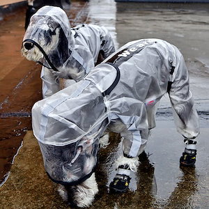 アップグレードされた犬用レインコート 4 本足の防水オールインクルーシブ テディ ペット服 小型および中型の大型犬 透明な反射ポンチョ