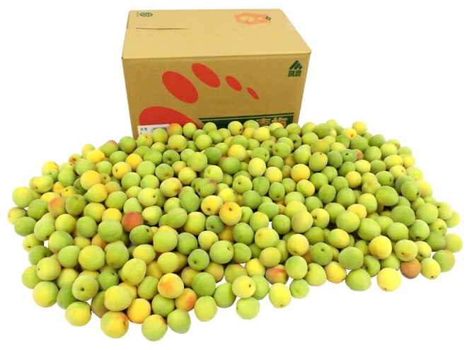 紀州/和歌山産 =南高梅 完熟= 秀品 L 約10kg 予約 6月以降