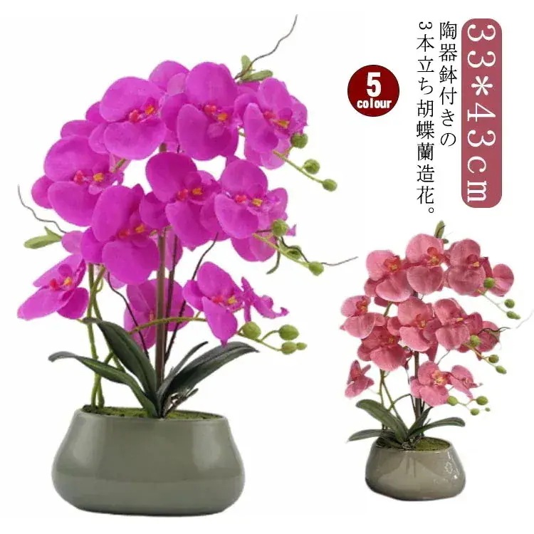 現品/優良商品開院祝い 就任 鉢花 3本立 陶器鉢入り 胡蝶蘭 お祝い アートフラワー パープル プレゼント 開店 ギフト 新築祝い 光触媒 玄関 胡蝶蘭 栄転 敬老の日 本物そっくり 本物みた