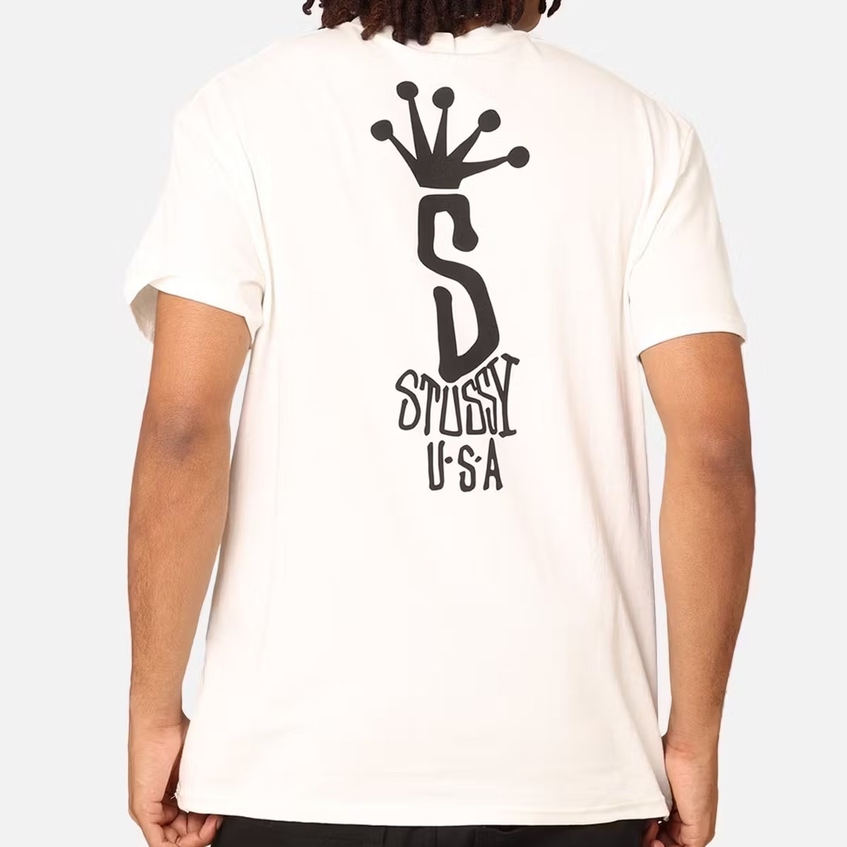 STUSSY Big S LCB T-Shirt Tシャツ ステューシー