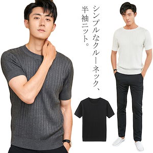半袖ニット クルーネック メンズ 厚手 プルオーバー リブニット カジュアル 春 紳士用 大きいサイズ 無地 秋 シンプル