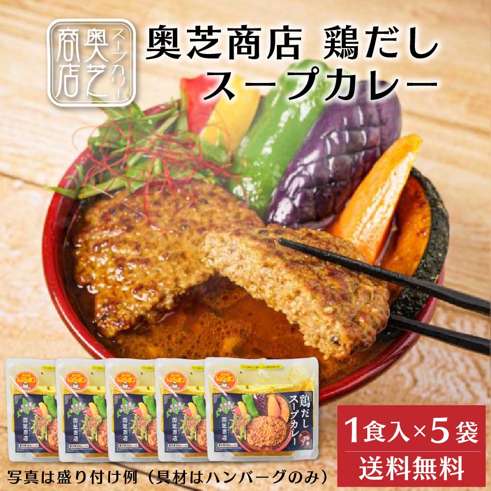 奥芝商店 鶏だしスープカレー【1人前 300g】 5袋セット ハンバーグ 冷凍カレー 冷凍 北海道 札幌 とり 出汁 レンジ 簡単 お土産 プレゼント クリスマス バレンタイン 御歳