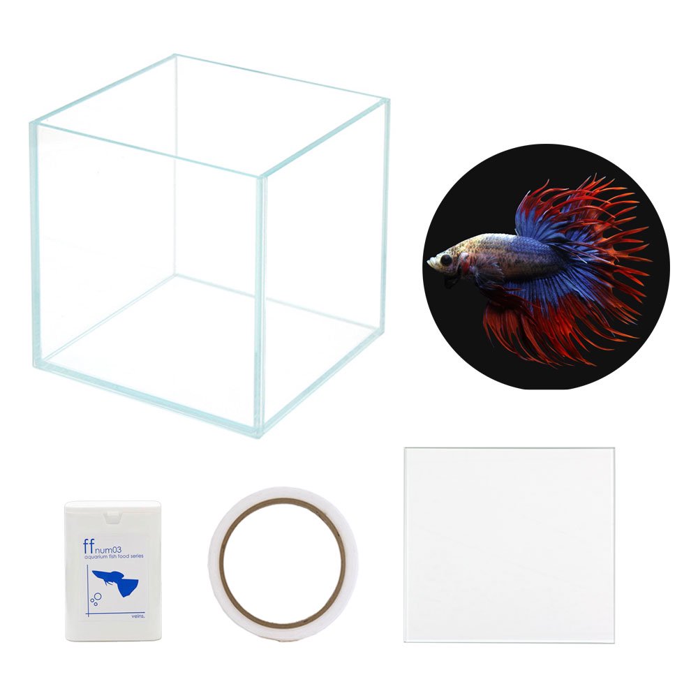 （熱帯魚）ベタ飼育セット　ガラス水槽　クラウンテール　お一人様５点限り　本州四国限定　ＣＲＣ13―08―10―00―00