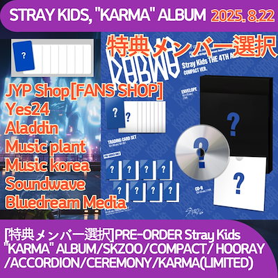 フライヤー8種付 straykids karma compact ver.20枚