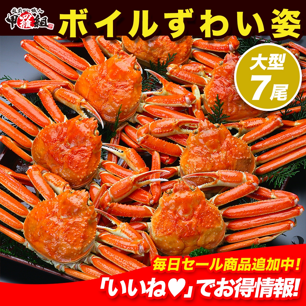 人気の大型サイズを厳選！ボイルずわいがに姿（浜ゆで急速冷凍）3kg/7ハイ業務用産地箱のため食べ方の説明書は同封できません【カニ】【かに】【蟹】