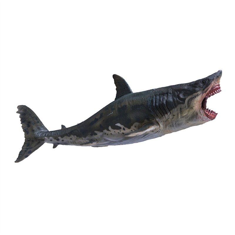 PNSO 1/35 サイズ メガロドン ホホジロザメ サメ こども サメ好きの孫への プレゼント リアル 海洋動物 魚類 フィギュア PVC プラモデル モデル 大人のおもちゃ プレミアム 31.5c