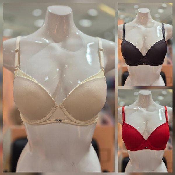 余分な脂肪カバー トリプルウィング フルカップブラ Eカップ SBRD317E_s