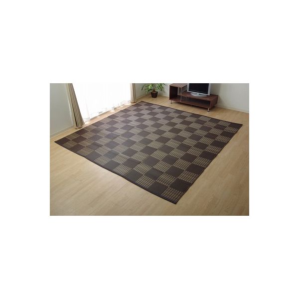 1090280062002 ラグ 洗える PPカーペット ウィード ブラウン 本間8畳 約382×382cm メーカー直送