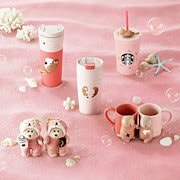 韓国スターバックス　2024　スケジュール&ペン　セット 選ぶなら SS 韓国スタバ☆2024 MyBuddy (Starbucks (4P) Set Pen
