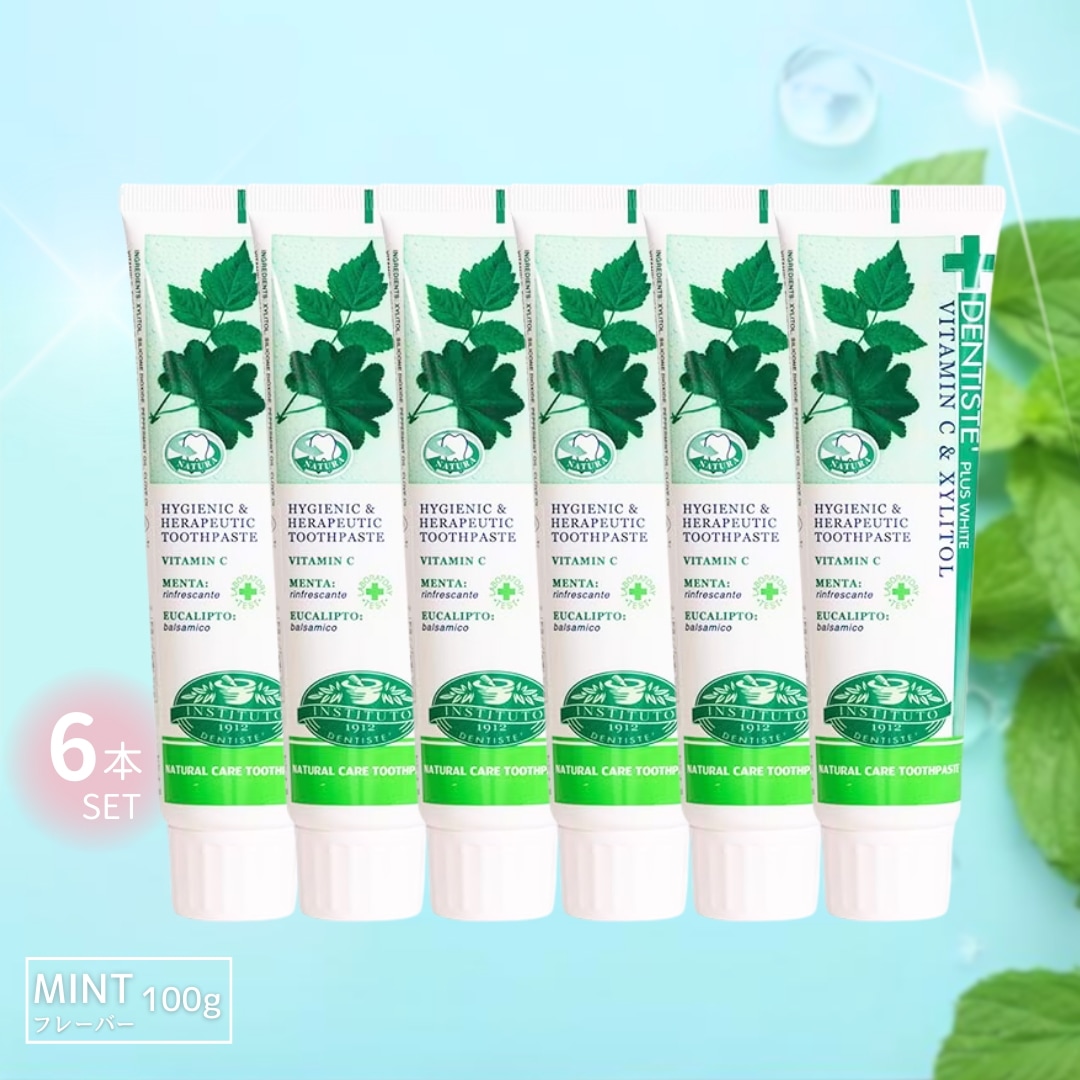 デンティス 歯磨き粉 ミント 口臭ケア 100g 6本セット