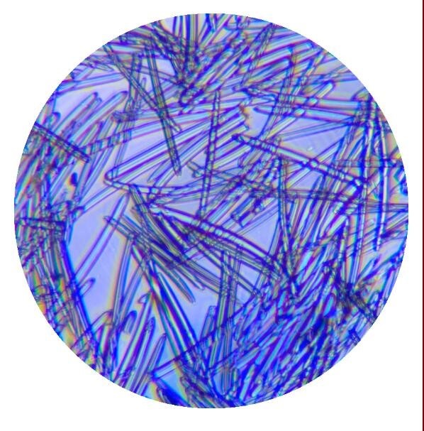40％,99％ 1000ｇ イノスピキュール inospicule 微細針 海綿 海綿動物 原料のみ販売