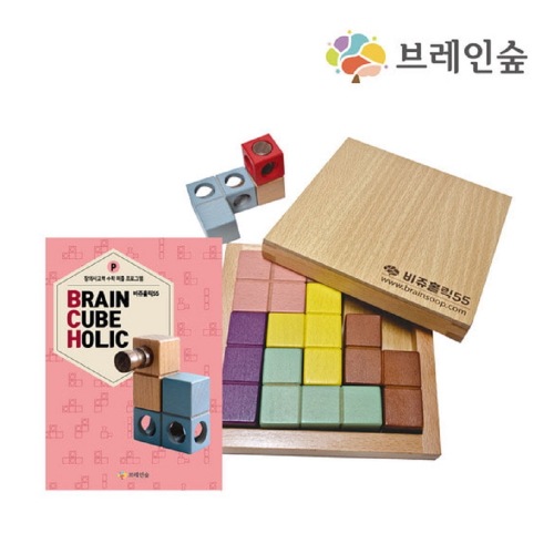 ブレインフォレストビジュホリック+教材幼稚園児童家学院教習教区団体創造力 6,769円