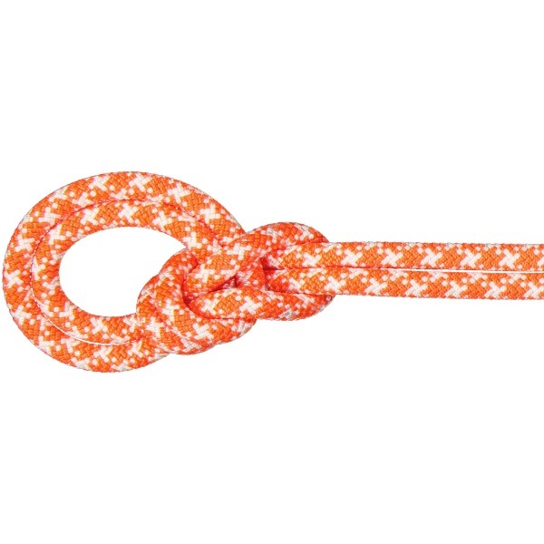 MAMMUT マムート 9.5 Crag Classic Rope 50m アウトドア クライミング用品 201005610-2237