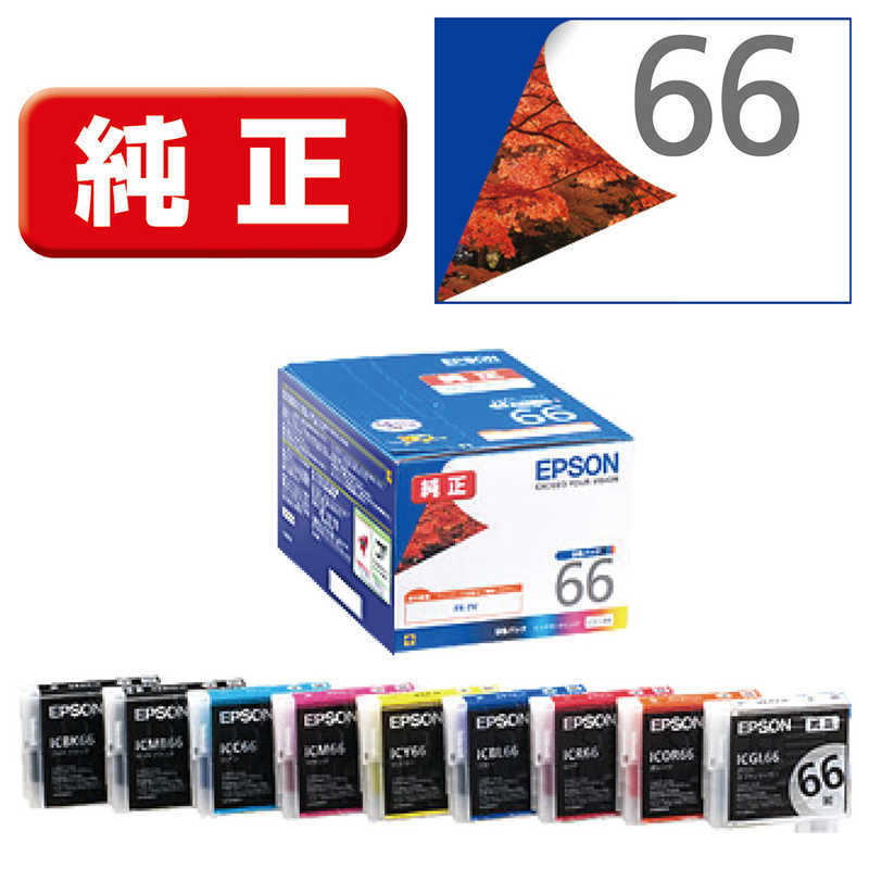 エプソン　EPSON　インクカートリッジ 9色セット　IC9CL66
