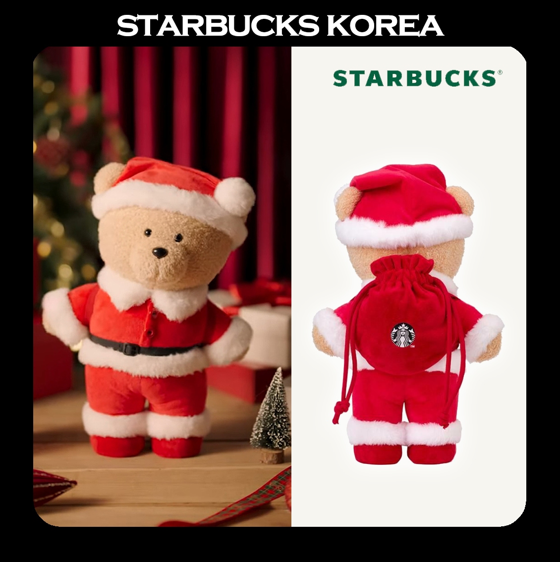 韓国スターバ 2025 冬限定 シークレットダンシングベアリスタ