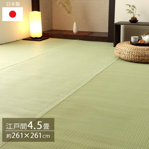 五木 カーペット 絨毯 ラグ 洗えるカーペット PPカーペット 洗える 国産 日本製ITK261261