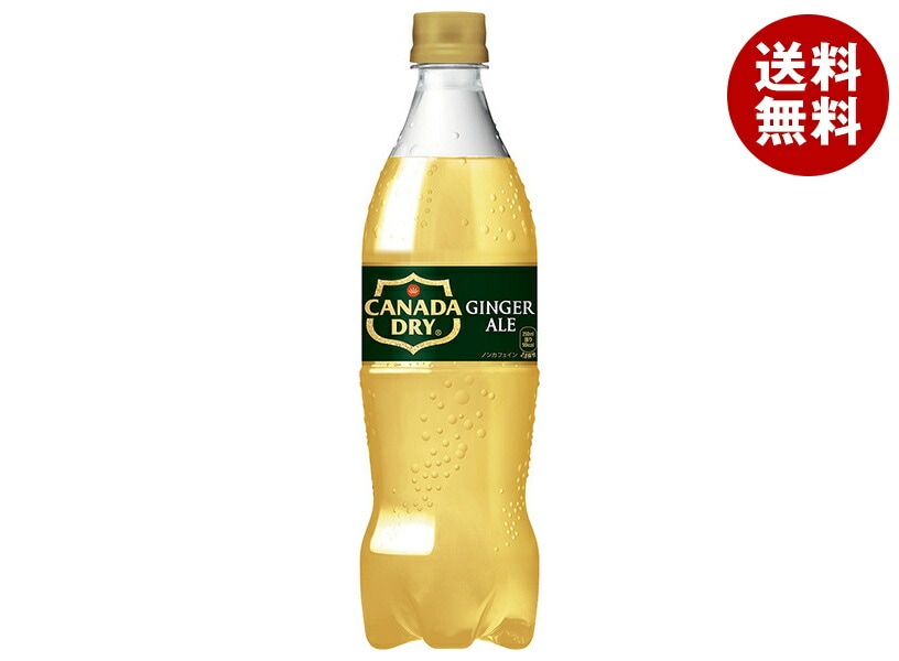 コカコーラ カナダドライ ジンジャーエール 700mlPET*20本入*(2ケース)