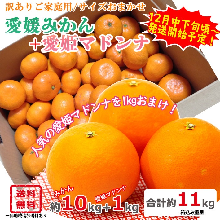 甘平 Mサイズ 箱込み10kg. 2021春大特価セール！ - 果物