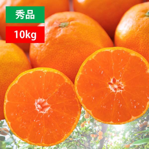 愛媛みかん 秀品 10kg （70玉から90玉前後入り） 西宇和地区 八幡浜市産
