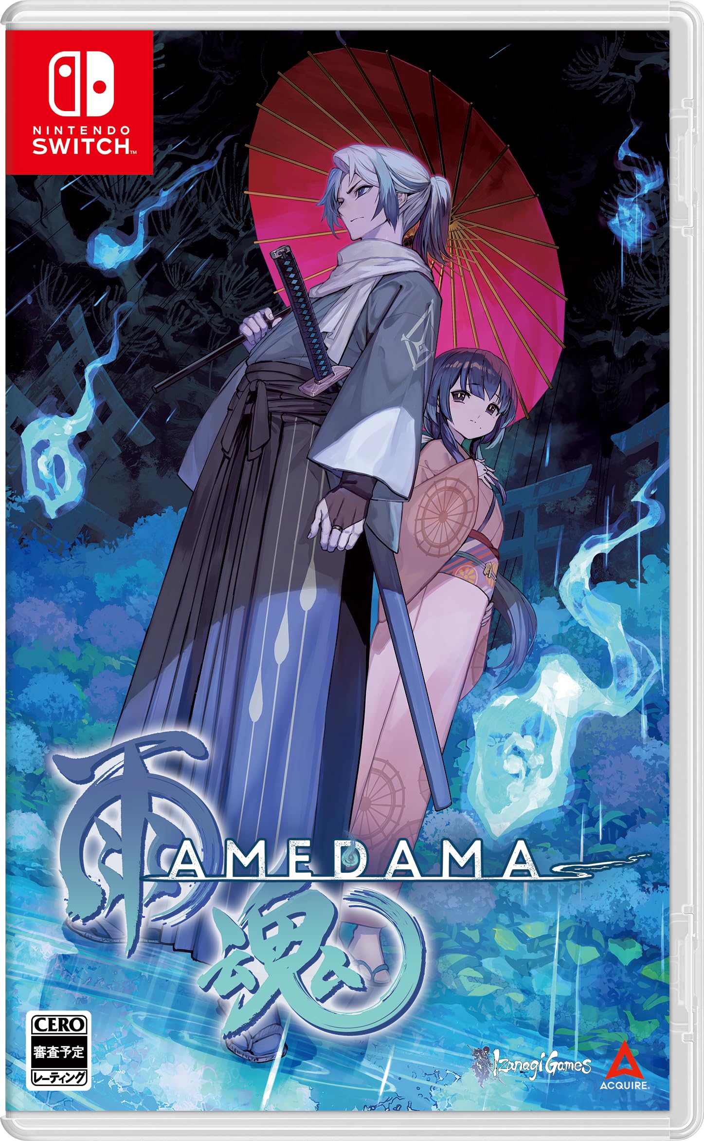 全国送料無料 雨魂 - AMEDAMA - -Switch