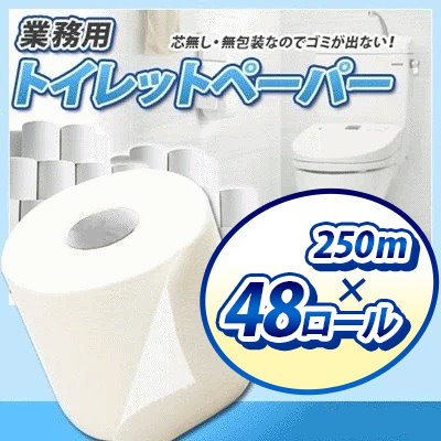 無包装業務用 トイレットペーパー 250m＊48ロール 紙...のサムネイル