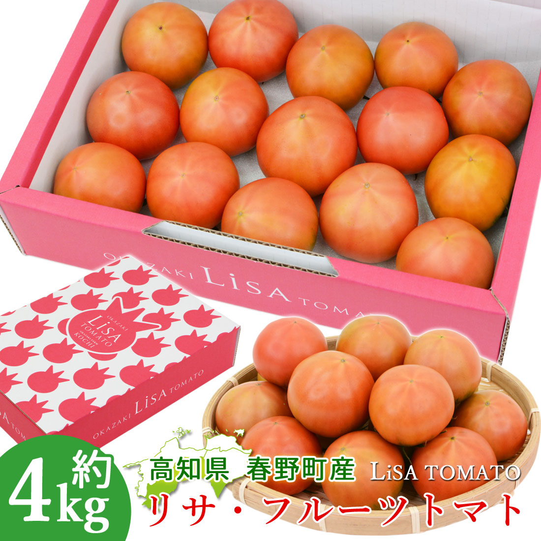 諸木直送 トマト Lisa フルーツトマト 4箱 100日トマト 春野町 高糖度トマト 高知産 高知 糖度8度以上 高知県産 家庭用 ふるーつとまと 約4キロ
