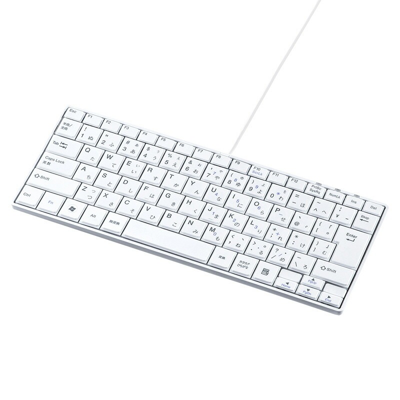 USBスリムキーボード ホワイト SKB-SL18WN