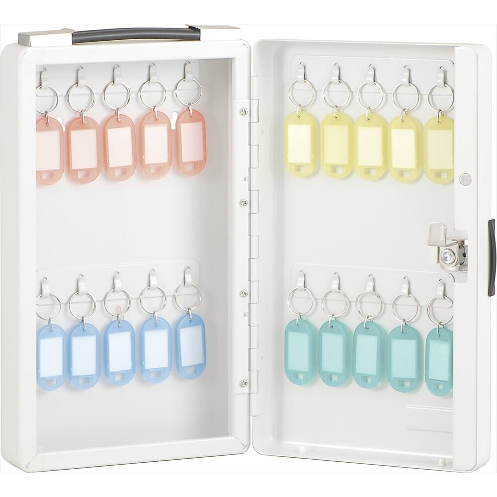 キーボックス 20個収容 NKB-E02