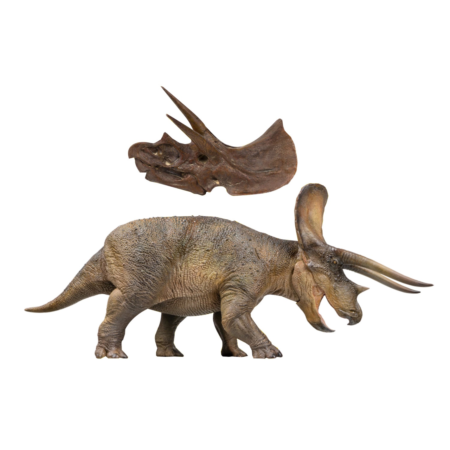 短納期 PNSO 恐竜博物館 1/35 サイズ トリケラトプス NEW Triceratops 竜脚類 三角龍 植物食 恐竜 動物 フィギュア プラモデル おもちゃ 模型 リアル PVC 恐竜好き 誕