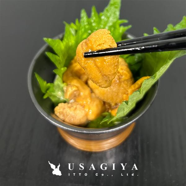 ウニ 生うに 北海道 国産 雲丹 冷凍 ミョウバン不使用 濃厚 美味しい 国産 高級 馬糞ウニ 馬ふん ギフト 熨斗 お中元 御歳暮 贈り物 お祝い