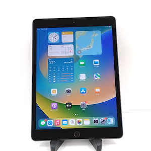 ipad cellular