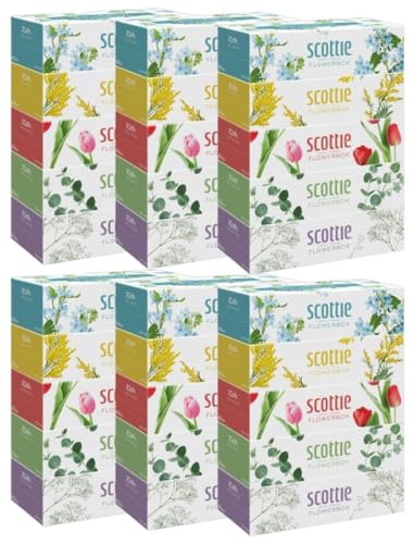 スコッティ フラワーボックス 長持ちティシュー 500枚(250組) 5箱入 ×6パック