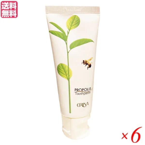 エリナ P歯磨き 95g 6本セット プロポリス 歯磨き ハミガキ