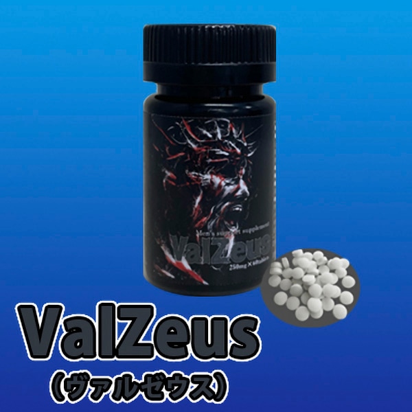 ヴァルゼウス（ValZeus）