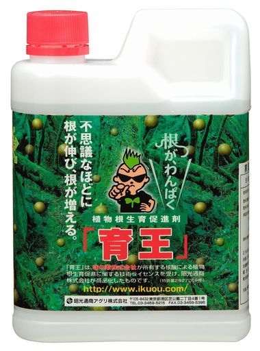 育王 1KG