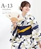 A-13