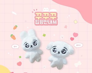 BTS 　ジョングク 2017年 マスター　ペンカフェ　ぬいぐるみ 20CM BTS ジョングク 2017年 マスター ペンカフェ ぬいぐるみ 20CM BTS