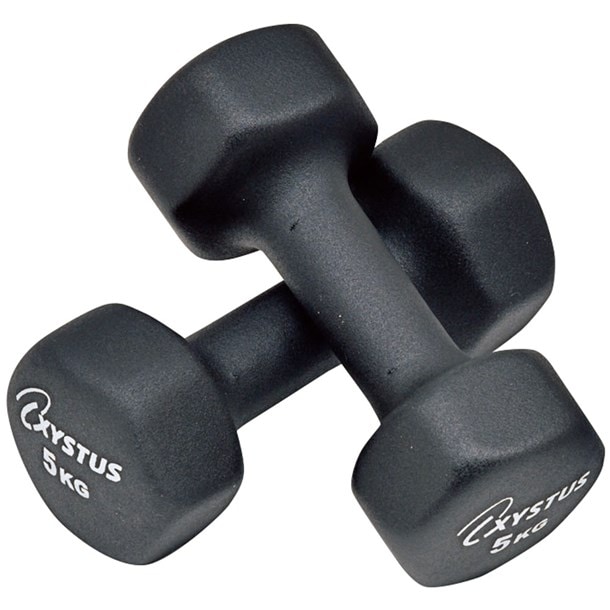 ラバーコートダンベル5 ウエルネスダンベル (h7174)