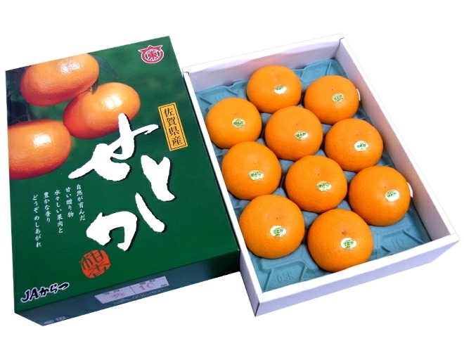 佐賀産 =せとか= 大玉10-12玉 約3kg 化粧箱入り 予約 1月中旬以降柑橘類