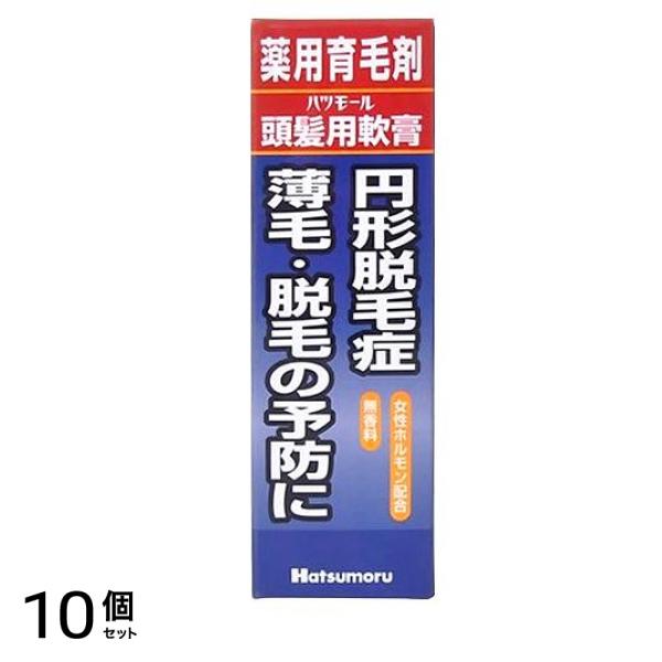 頭髪用軟膏 25g 10個セット