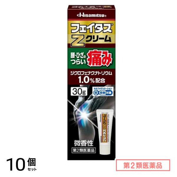 第２類医薬品 Zクリーム 30g 10個セット