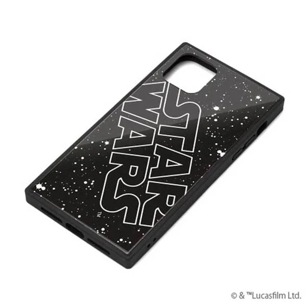 PG-DGT19B30SW [���S]