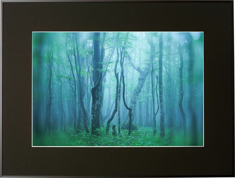 ケンコー AGY-A3N-BK アルミ額縁 ギャラリー A3ノビ（ブラック） AGYA3NBK