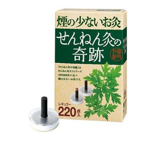 せんねん灸の奇跡 レギュラー 220点入 4,328円