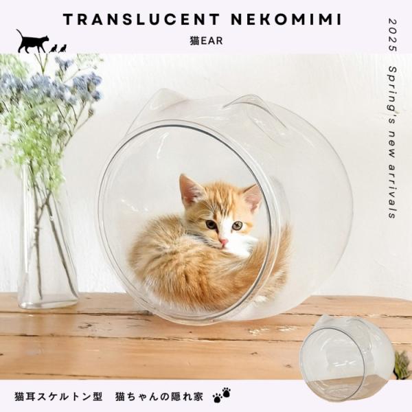 猫耳型スケルトンボール キャットハウス PET素材 透明デザイン ペットハウス キャットベッド リラックス ネコ ペット用品
