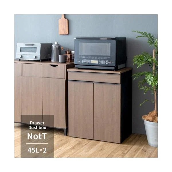 ゴミ箱 ダストボックス おしゃれ 分別 2連 2分別 引き出し 引出し 収納付き キャスター付き 白 45L ごみ箱 BOX ボックス 箱型 キッチン 台所 新生活 NotT ID004 21,924円