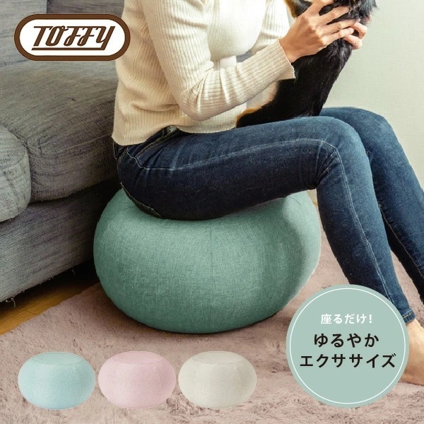 バランスクッション 直径55cm ポンプ付き BC01