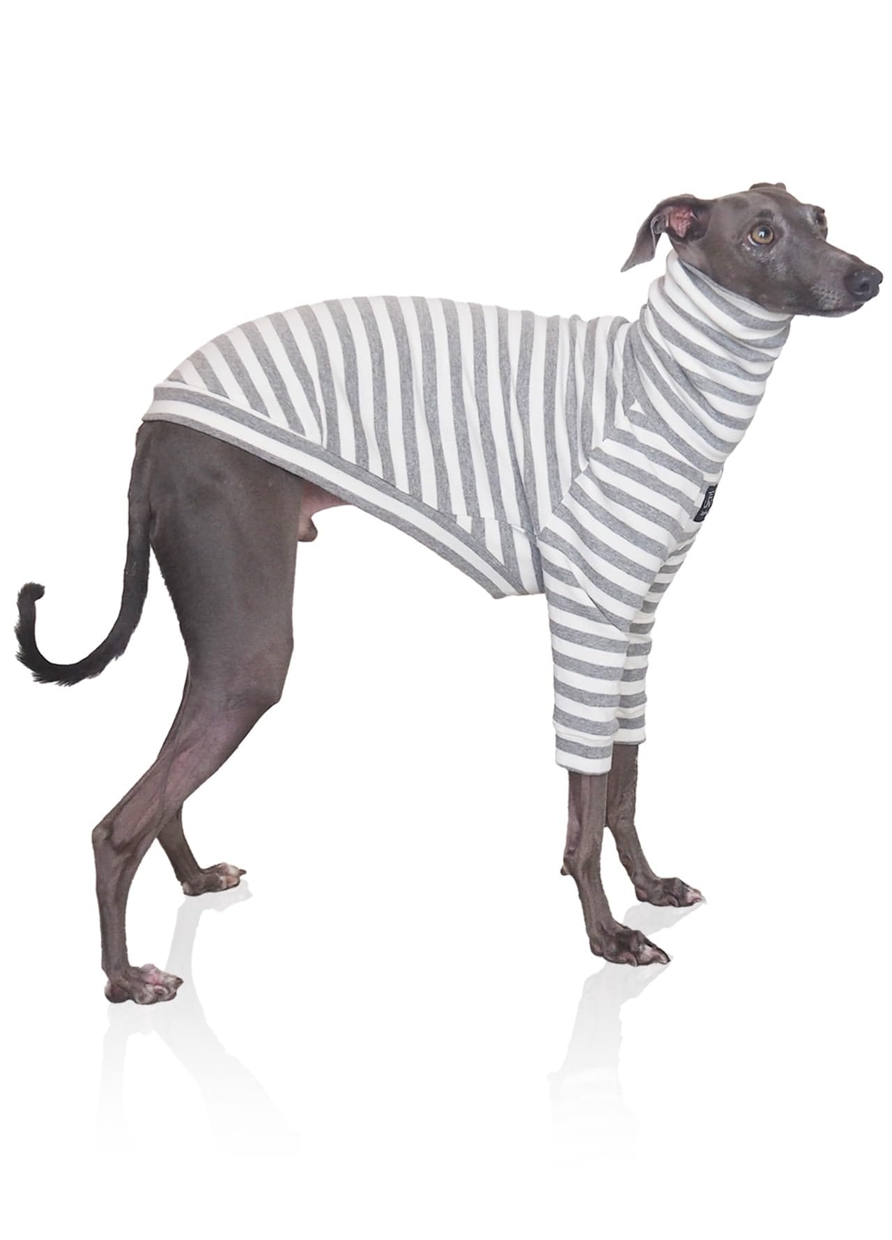 [Jenma] 【柔らかコットン】 イタグレ 服 冬 イタグレ服 トップス ボーダー ハイネック 7分袖 あたたかい おしゃれ かわいい S 【超ストレッチで着せやすい】